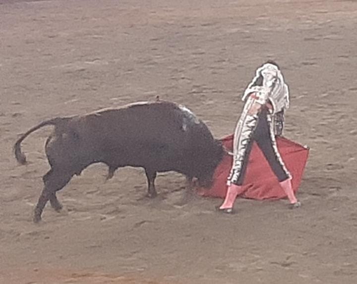 Corrida de toros