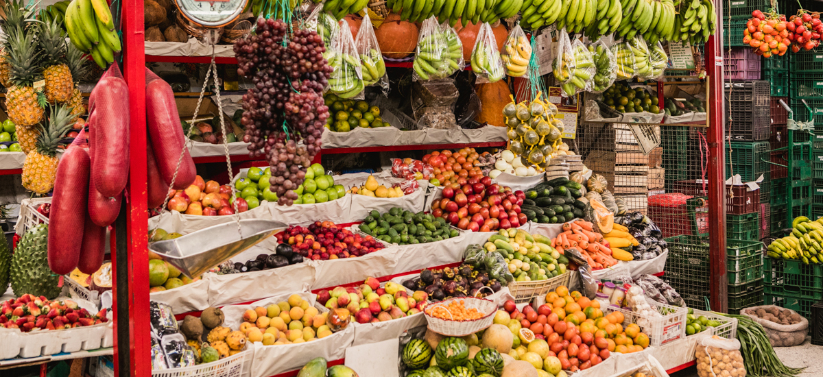 Alimentos