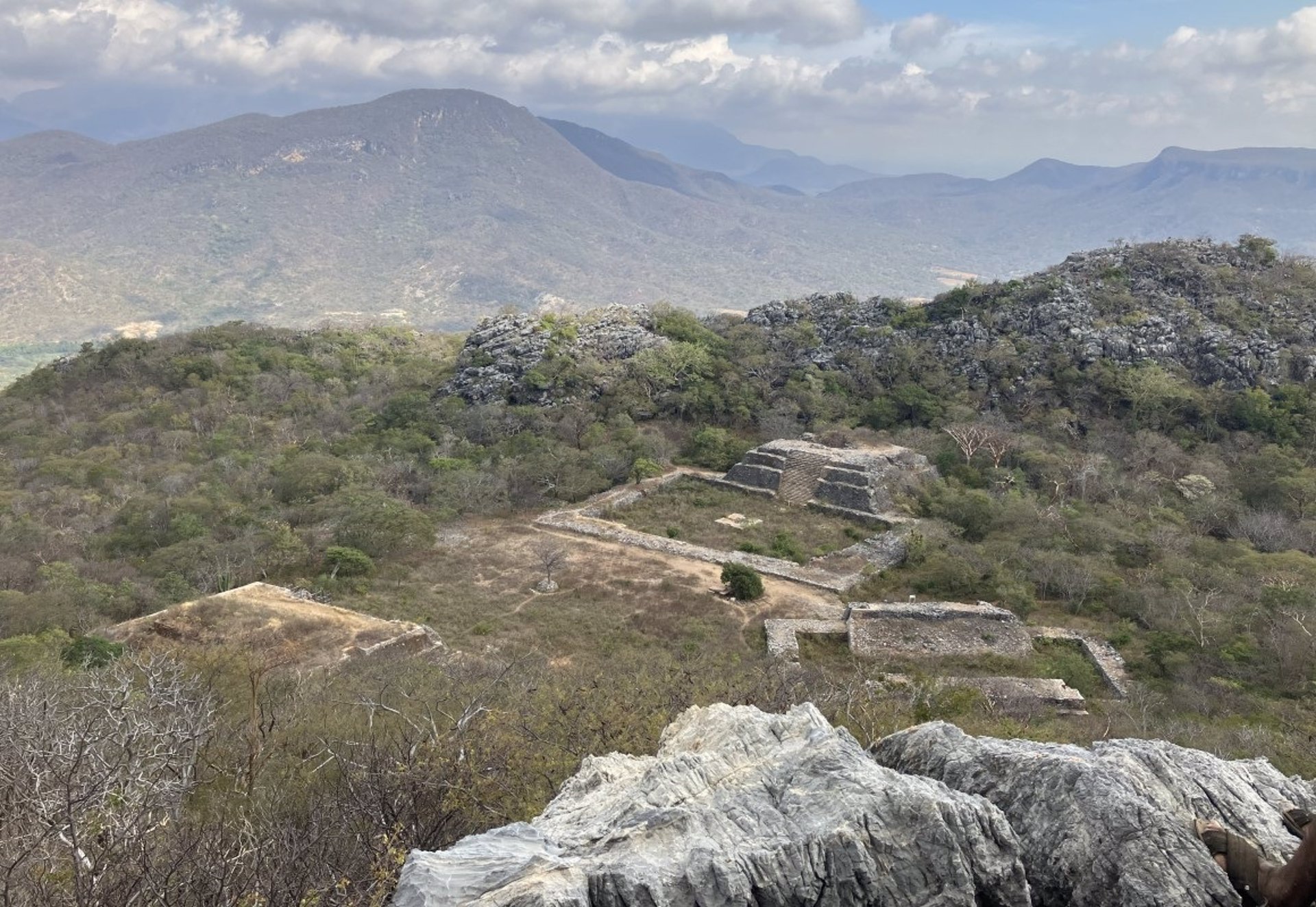 Es la única zona que no está cubierta por un dosel de árboles.