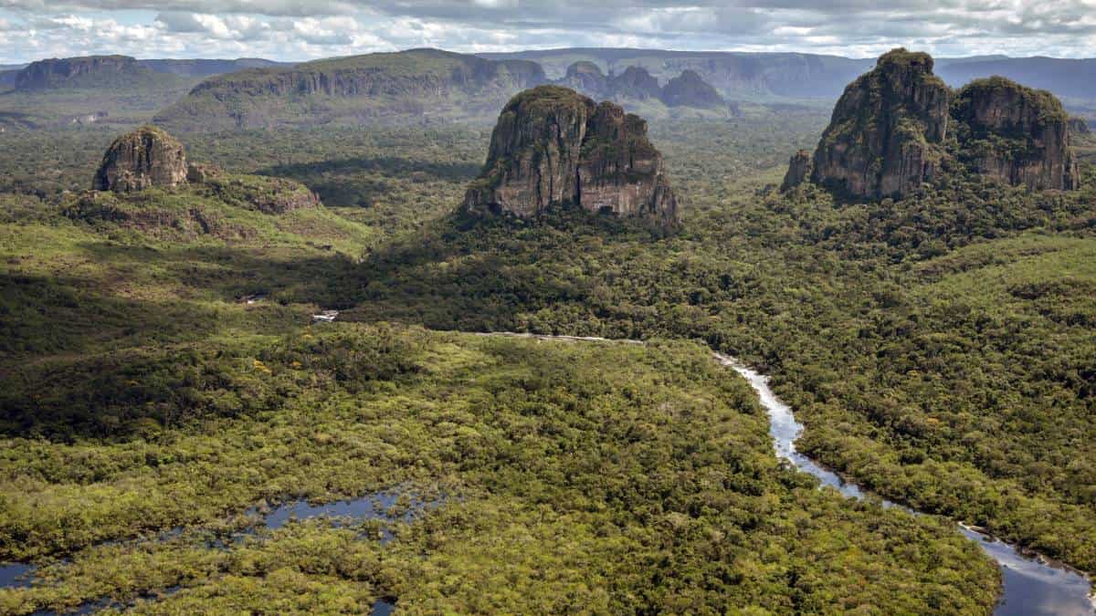 MEDIOAMBIENTE