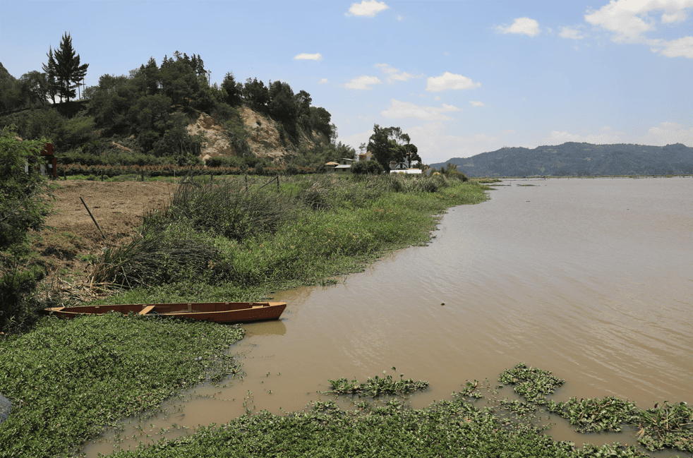 Cerca de $1.700 millones de pesos se destinarán este año para el desarrollo de proyectos integrales de conservación y restauración de estos importantes ecosistemas / CAR Cundinamarca 