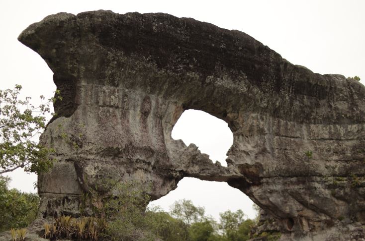 EL NUEVO SIGLO EN LA SERRANÍA DE LA LINDOSA