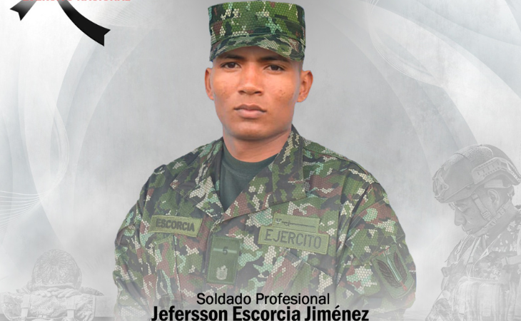 soldado profesional