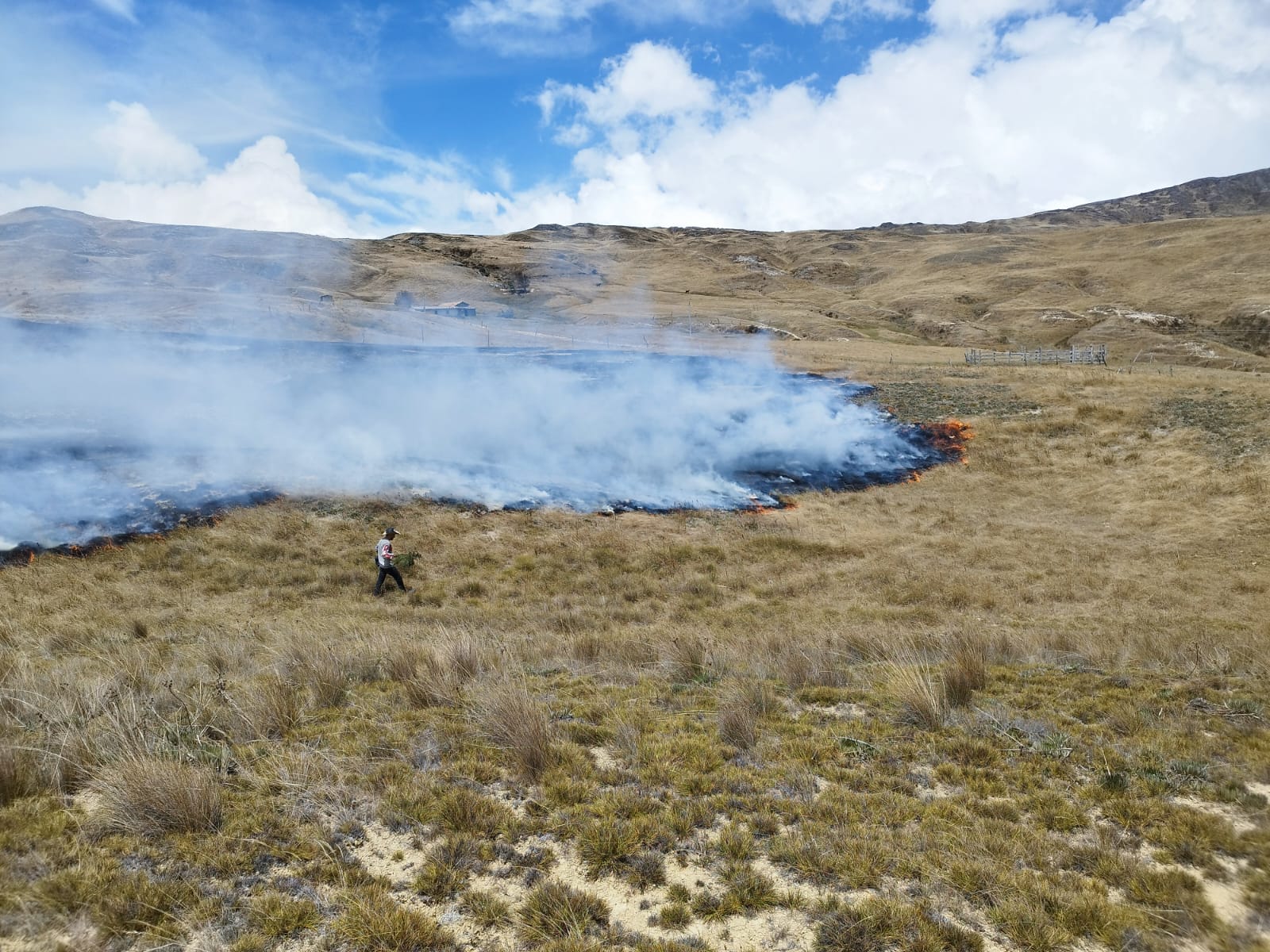 incendio forestal 