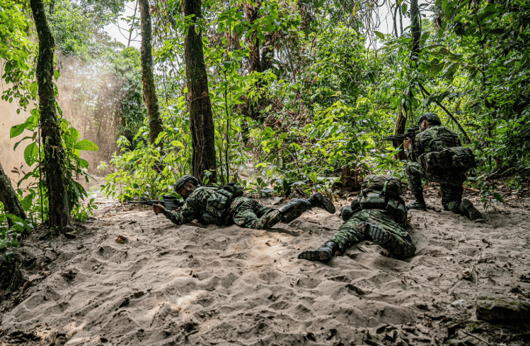 combates del ejercito