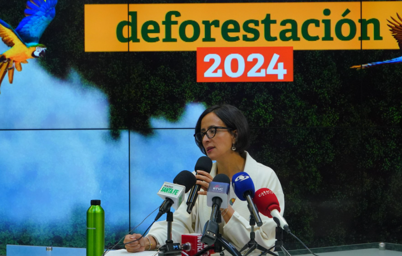 deforetacion en Colombia