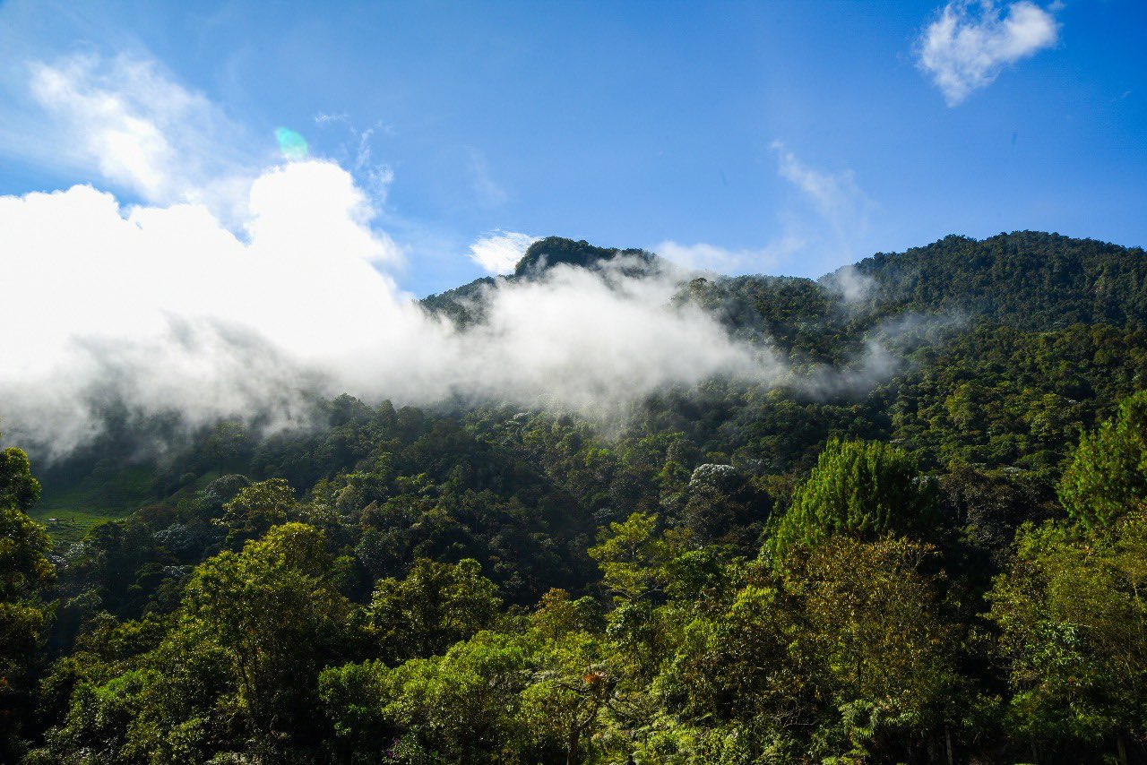 proteccion del medio ambiente