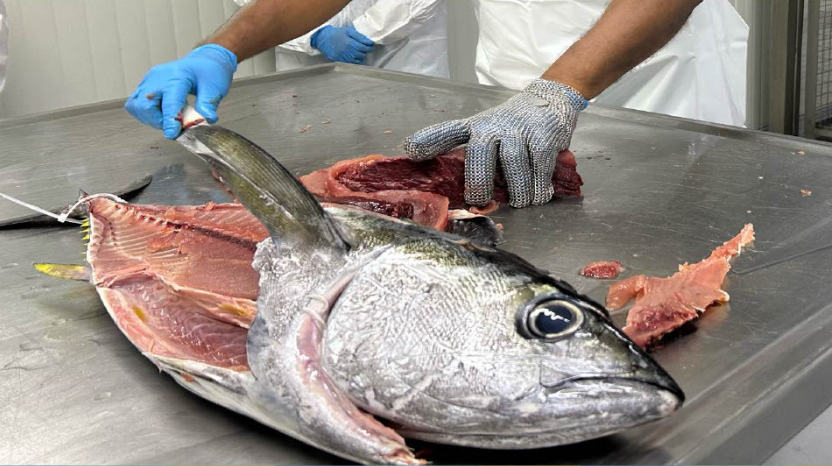 productos de pescado