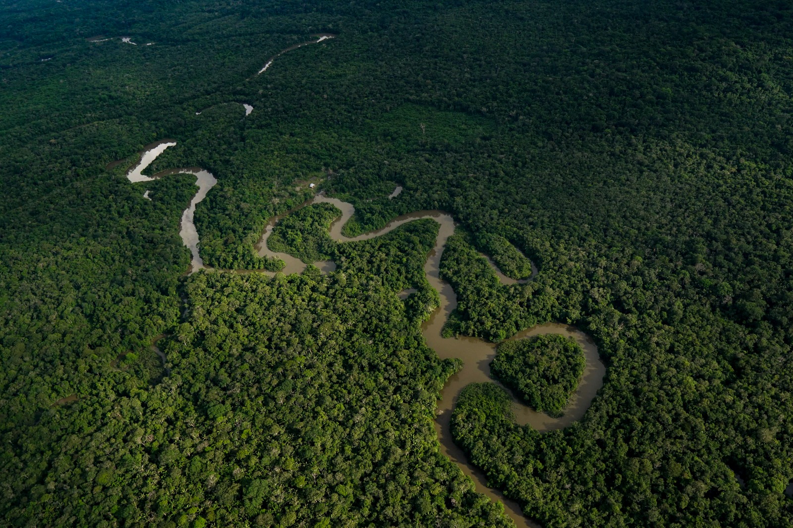 Minambiente