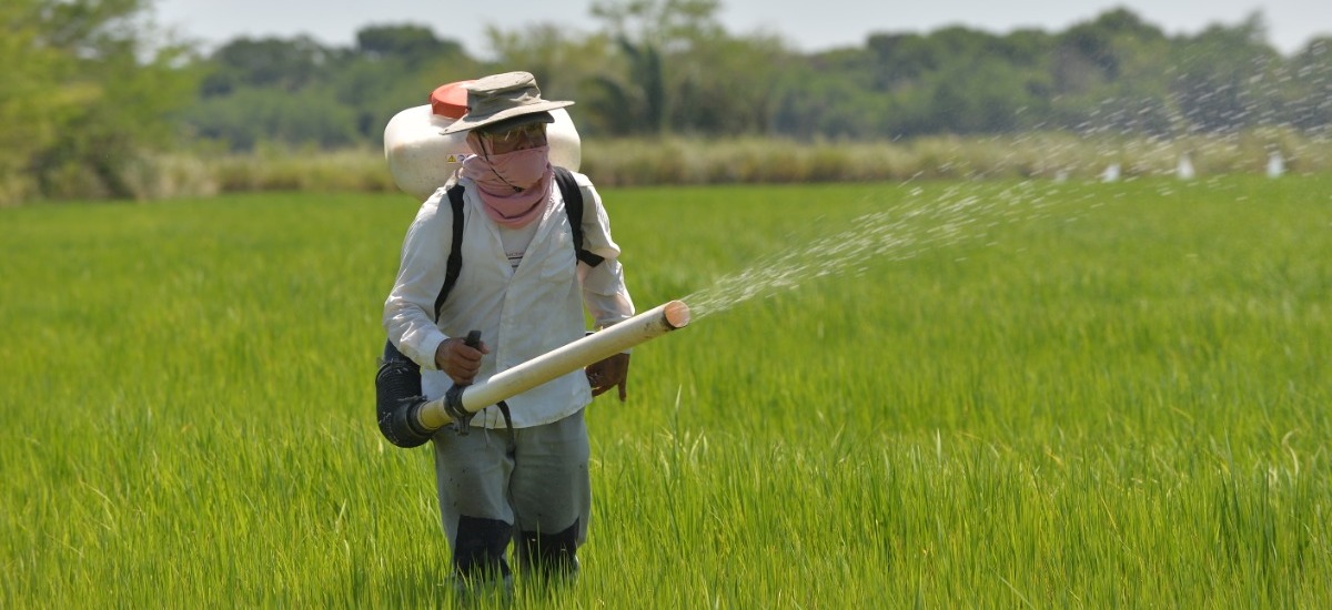 minagricultura