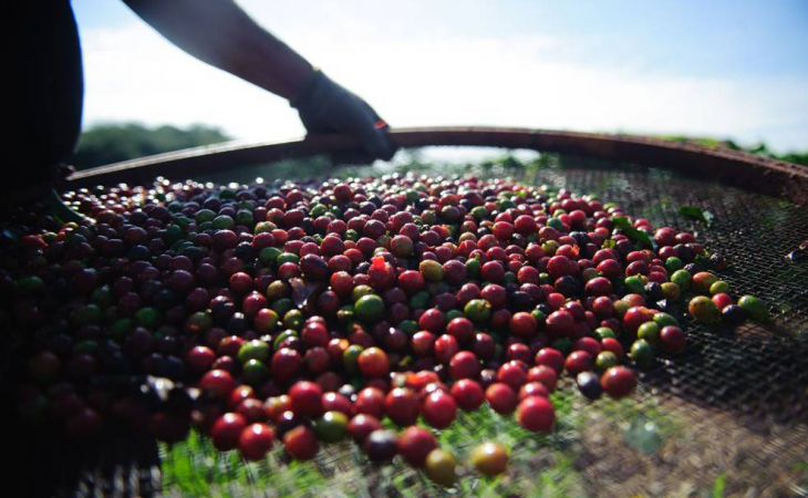 VENTAS DE CAFÉ