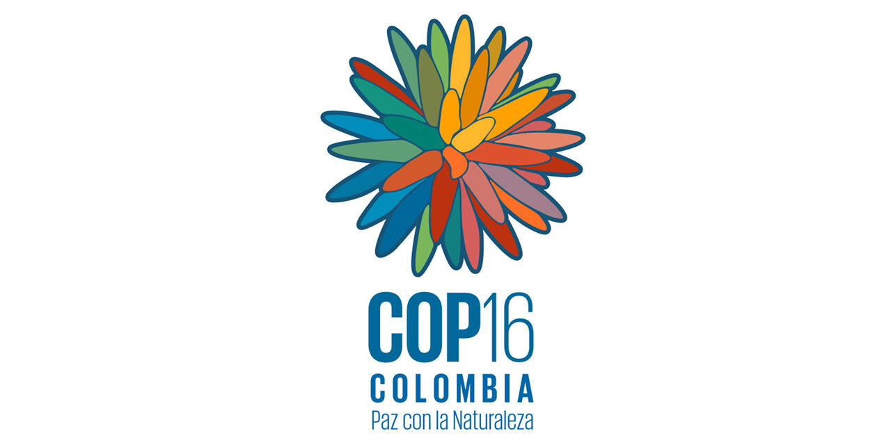 COP 16