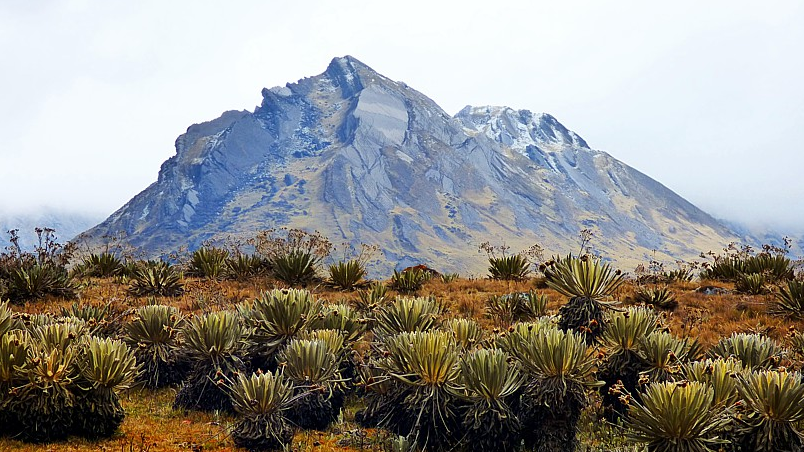 Páramo de Santurban